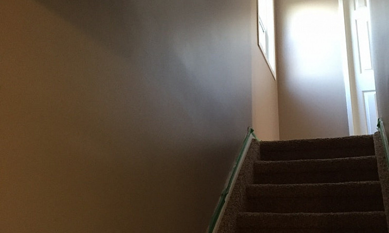 ***Newly*** Renovate...