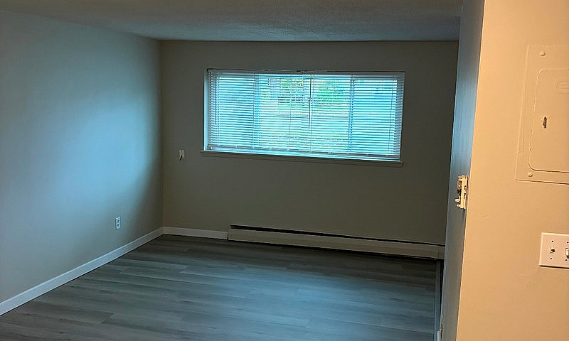 1 Bedroom Apartment ...