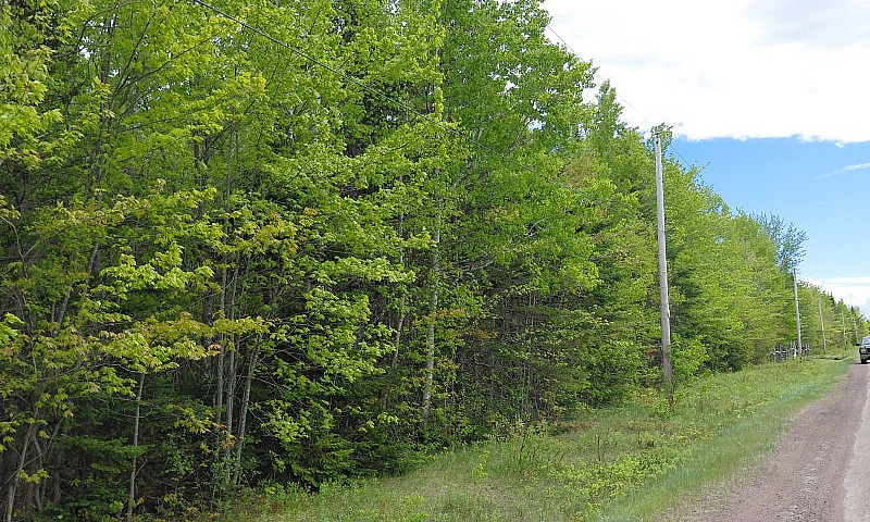Land For Sale  Of +/...