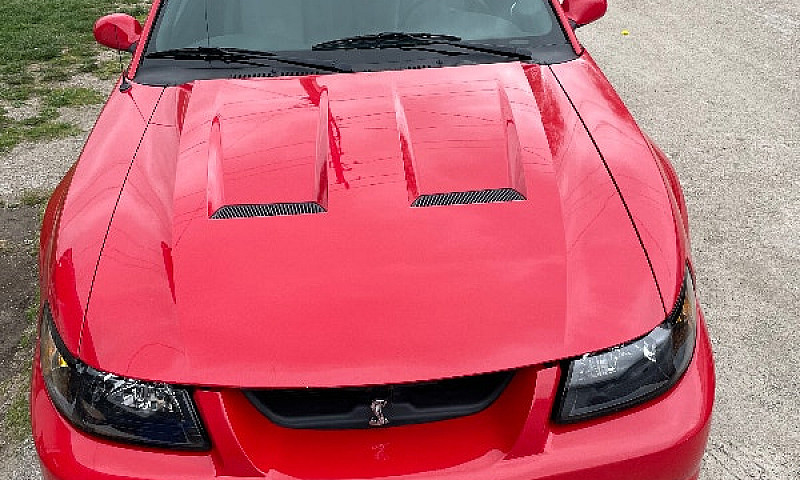 03.  Svt Mustang Cob...