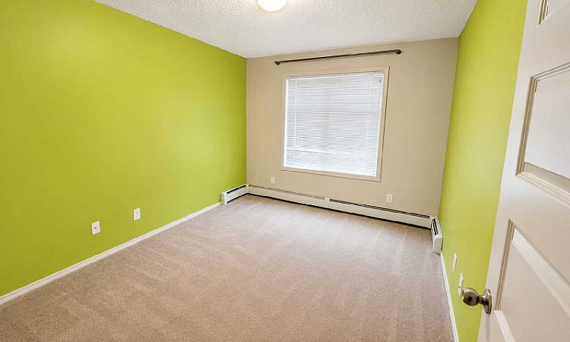 Renting My Beautiful...