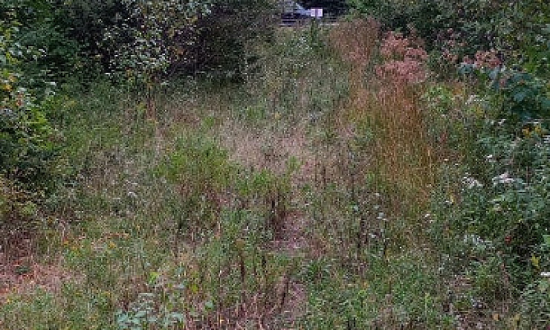 Land For Sale Pictou...