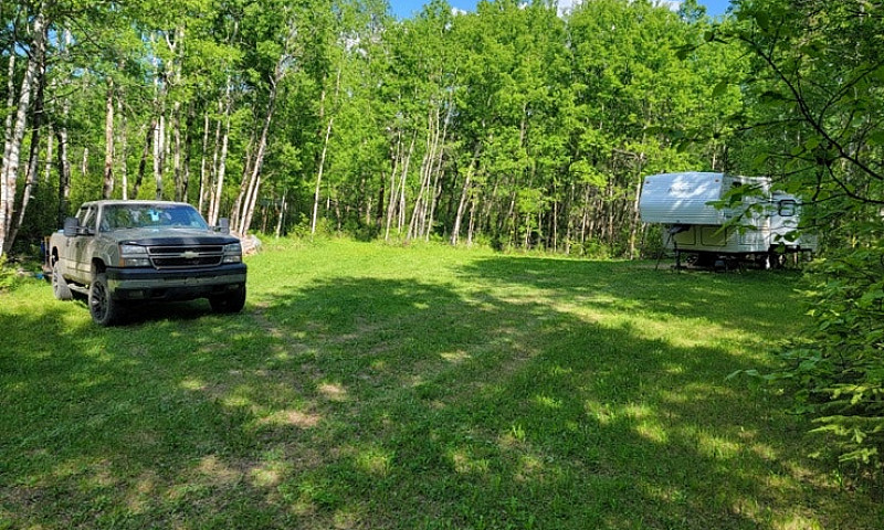 39.5 Acres In Camros...