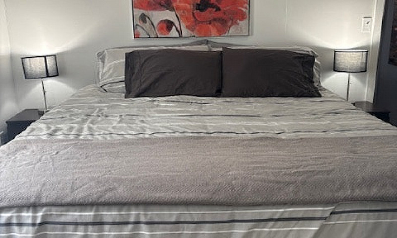 Furnished 1Br/1Bth -...