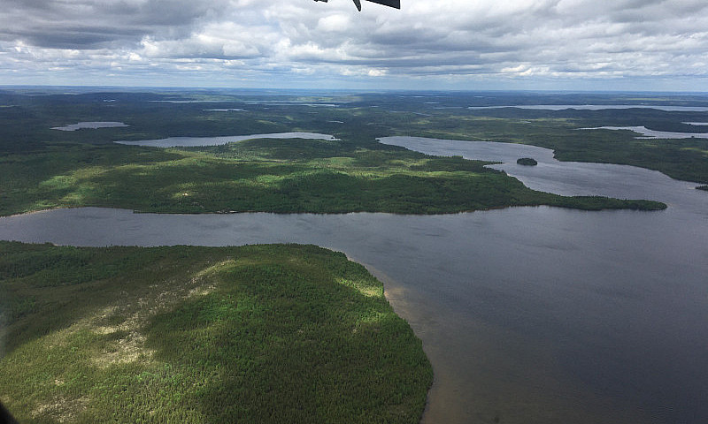 For Sale - Fly In Fi...