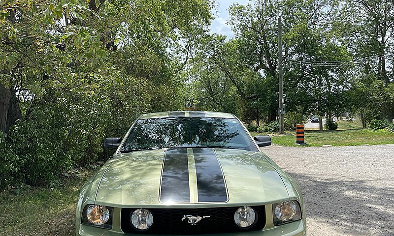Mustang Gt...