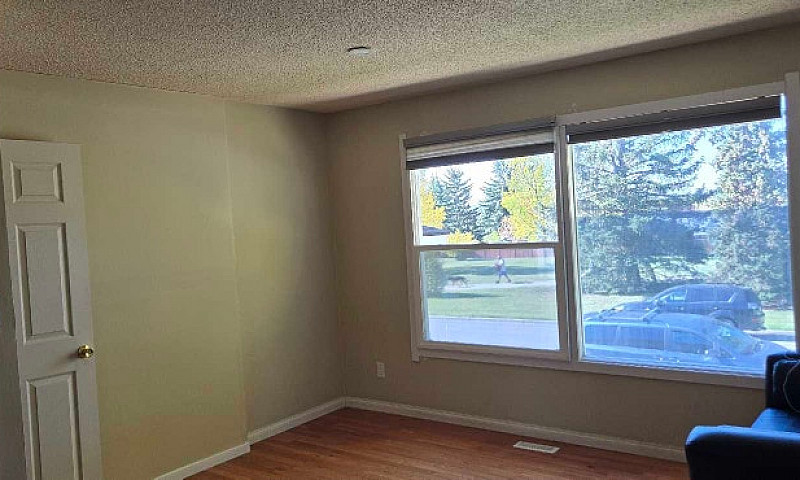 Whitehorn Room For R...