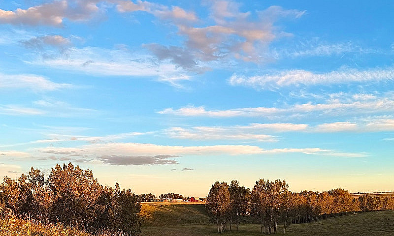 Barn And 55 Acres Of...