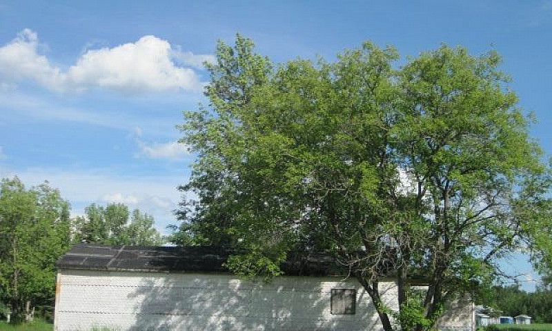 2.18 Acres Of Land I...