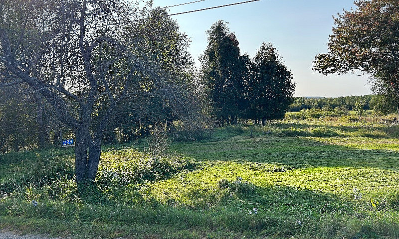 Land For Sale...