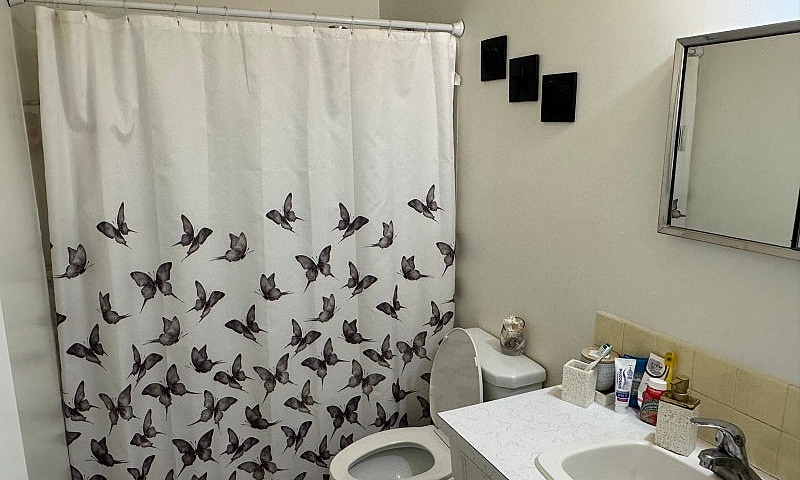 1-Bedroom Apartment ...