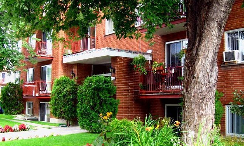 Logements    A   Lou...