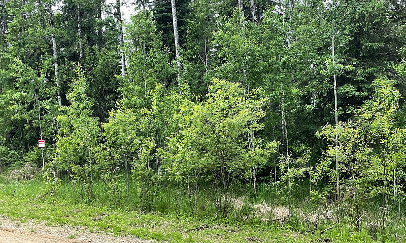 2 Lots Side By Side ...