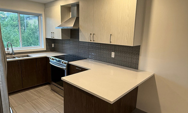 Apartment 5-1/2...