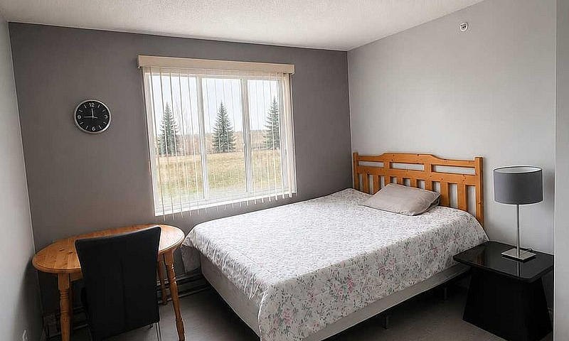 1-Bedroom Condo In C...