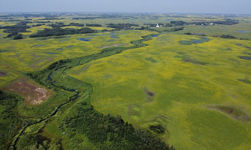 160 Acres For Sale M...