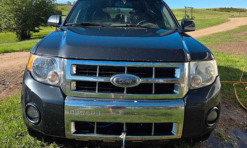 2008 Ford Escape Lim...