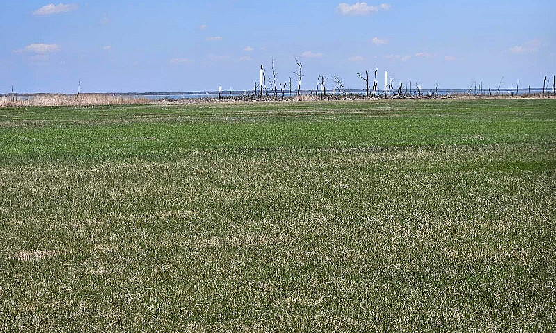 80 Acres, Lakefront ...
