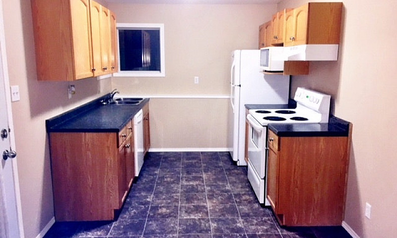 Pet Friendly, West, ...