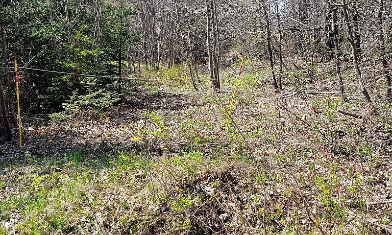 39 Acres With Huntin...