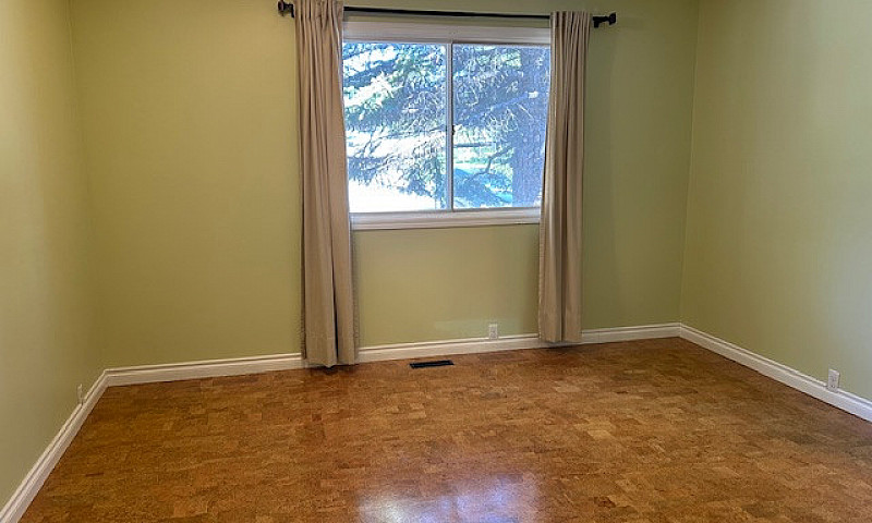 Walk-Out Bungalow On...