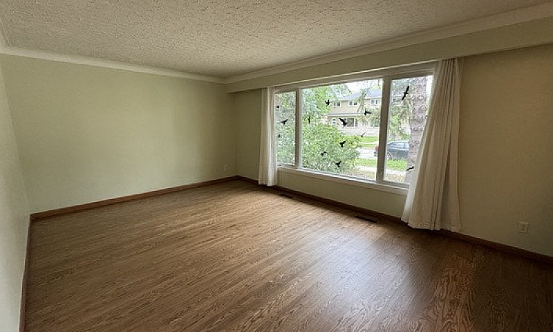 **Cozy 2Bed 1Bath Du...