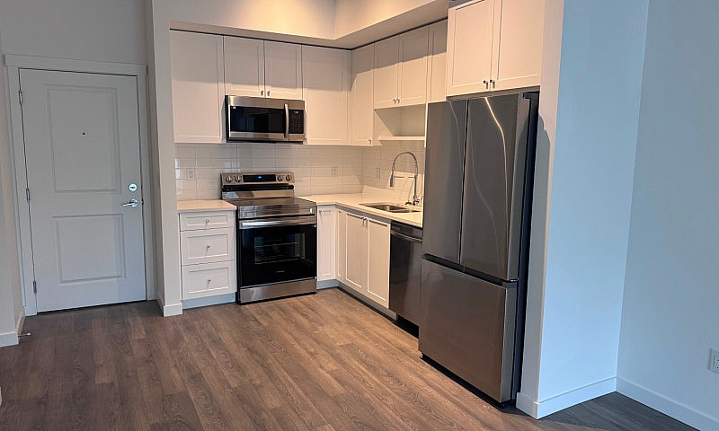 2 Bed 2 Bath Apartme...