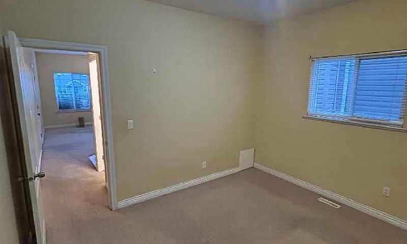 $1,100 All-Inclusive...