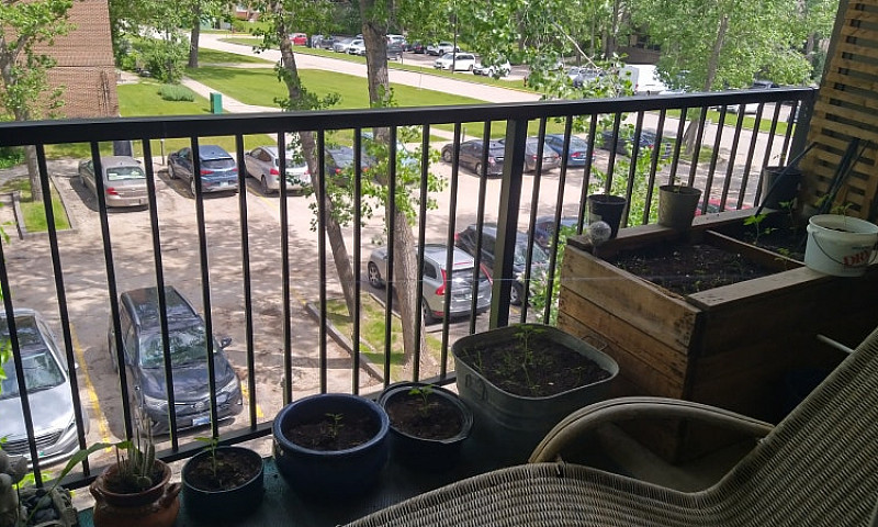 1-Bdr Condo Fully Fu...