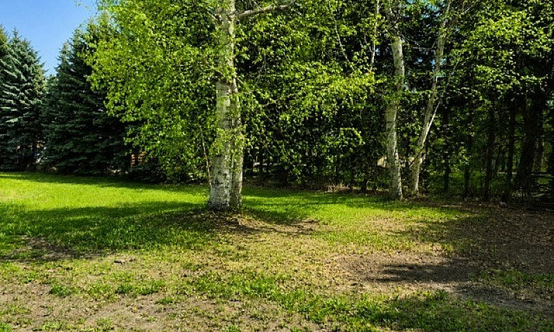 0.73-Acre Property O...
