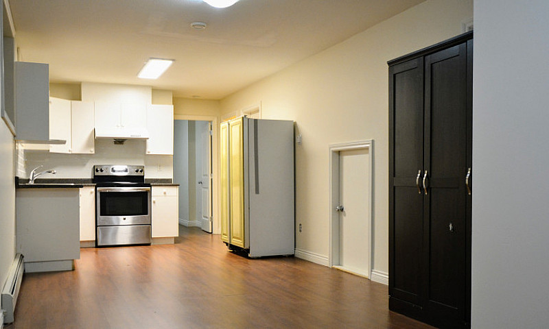 One Bedroom Basement...