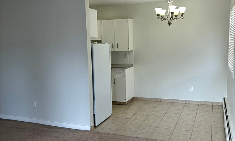 Bowtrail 1Bdrm Apart...