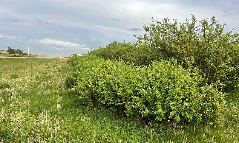 1 Acre  Lot...