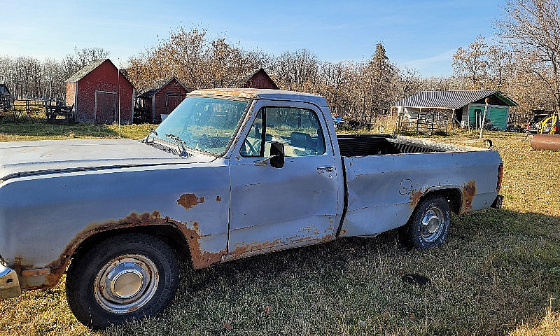 1992 Dodge D150 (Pro...