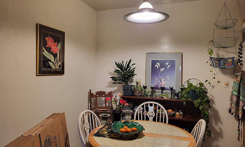 Must See, Top Floor,...