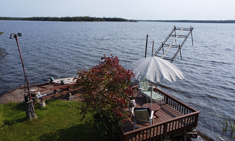 Waterfront Betula La...