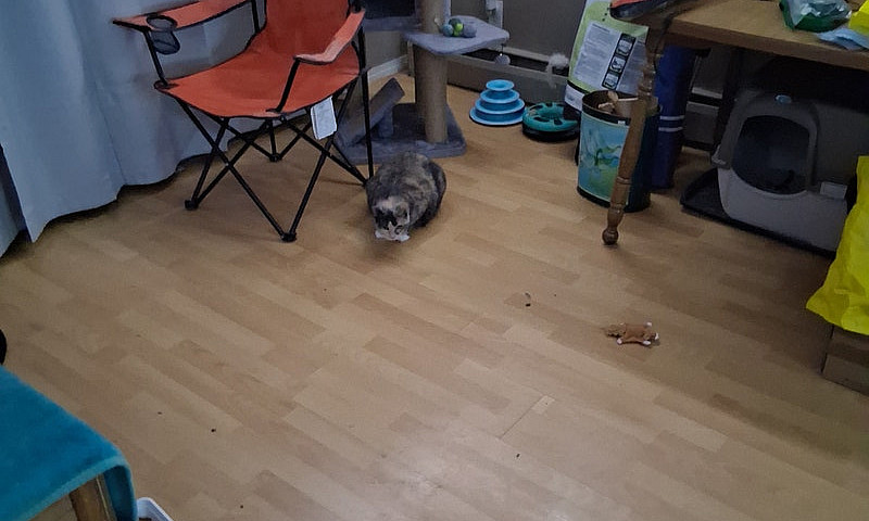 2-Bedroom Shared Bat...