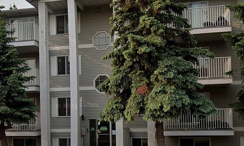 Apartment For Rent I...