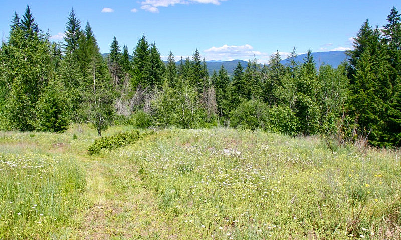 5.53 Acre Turnkey Ho...