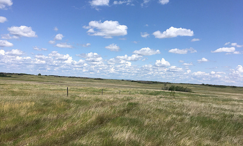 Pasture Land For Sal...