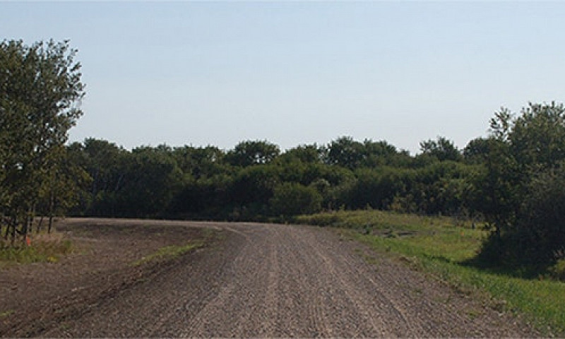 Bluebird Way Rural R...