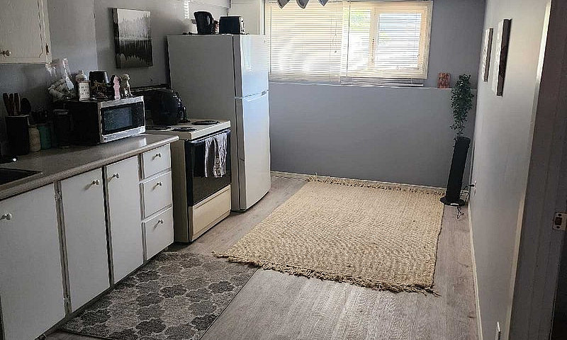 1 Bedroom Daylight S...