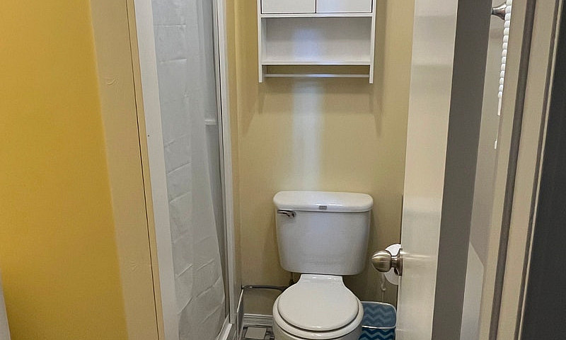 Bright Clean Bachelo...