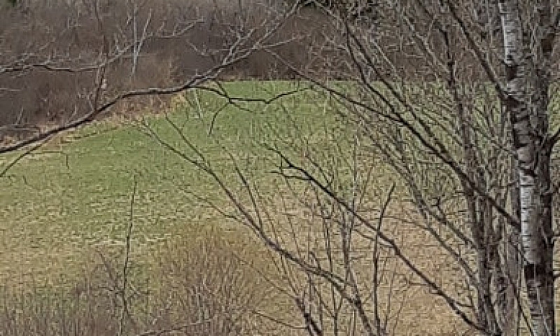 Terrain À Vendre...