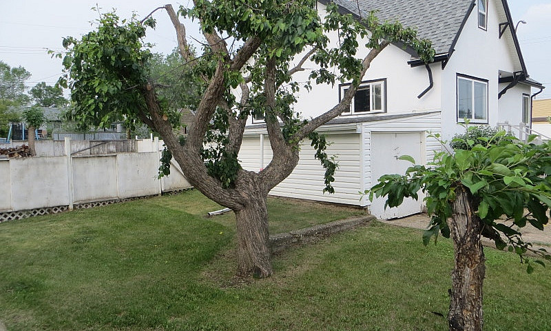 House In Fairview, A...
