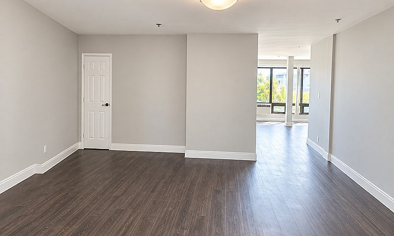 Freshly Renovated 1-...