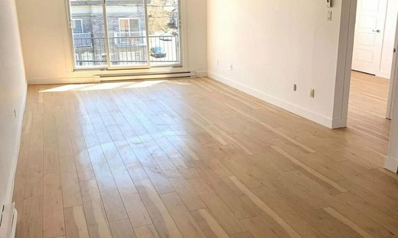 Logement 5 1/2 À Lou...