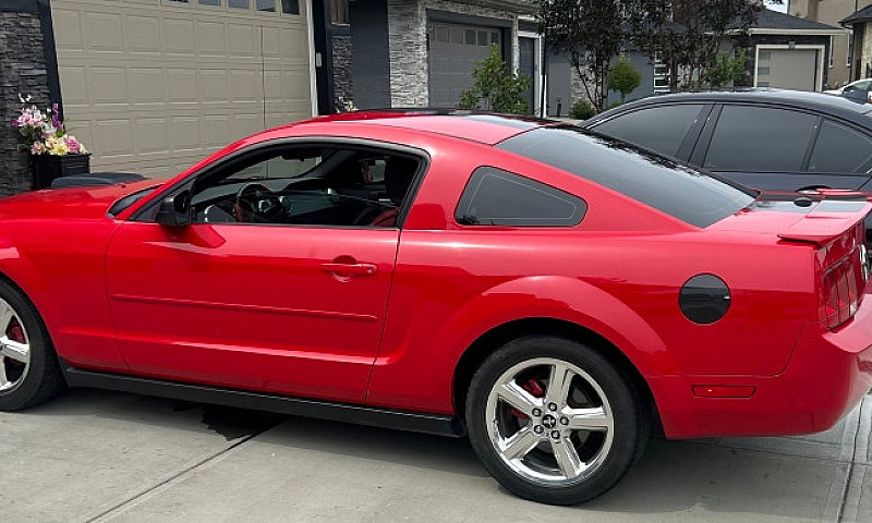 Red Mustang 2008...