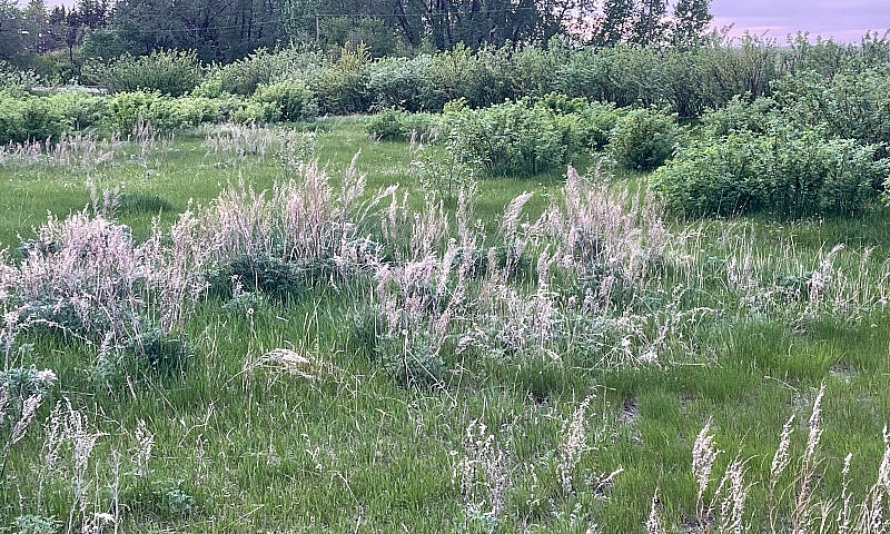 1 Acre Lot...