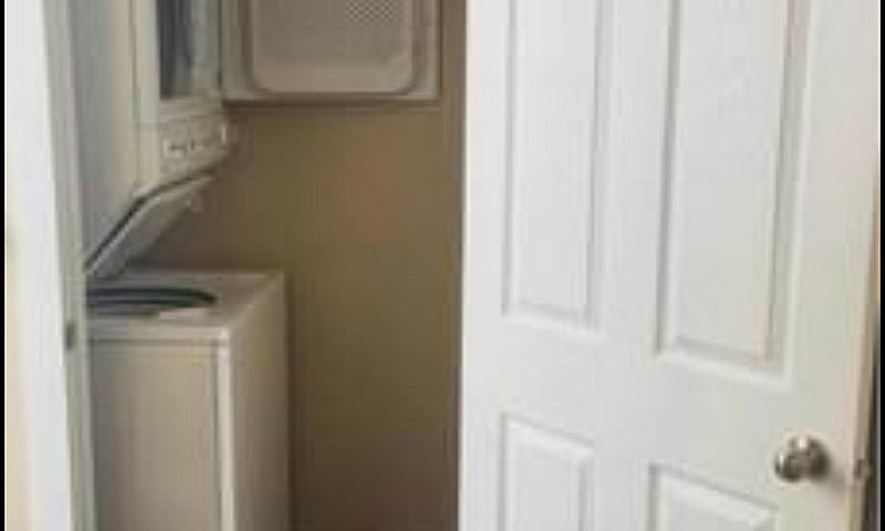 Basement For Rent In...